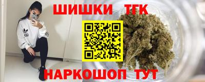 индика Лесосибирск