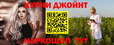 индика Лесосибирск