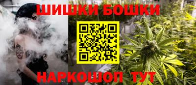 индика Лесосибирск