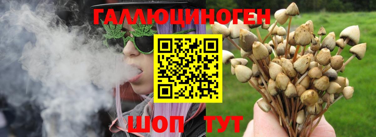 Псилоцибиновые грибы MAGIC MUSHROOMS Кимовск
